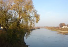 Odra