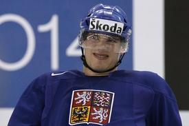 Rostislav Olesz