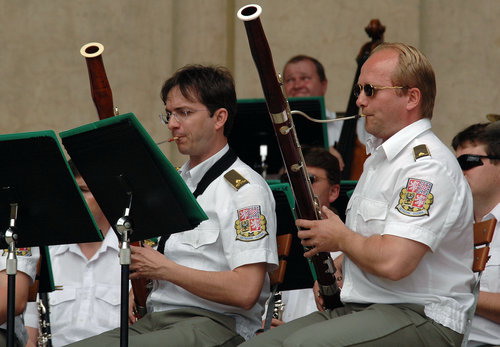 Armádní orchestry nezaniknou.