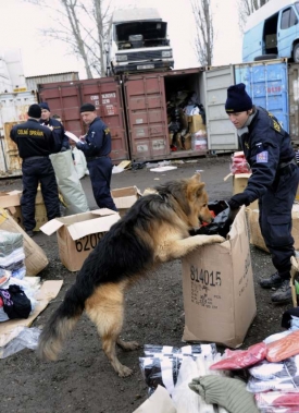 Při zásahu v Sapě odhalil policejní pes přítomost drog. Při zásahu v Sapě odhalil policejní pes přítomost drog.