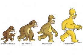 O tom, co Darwinova teorie říká, panují mnohé zkreslené představy.