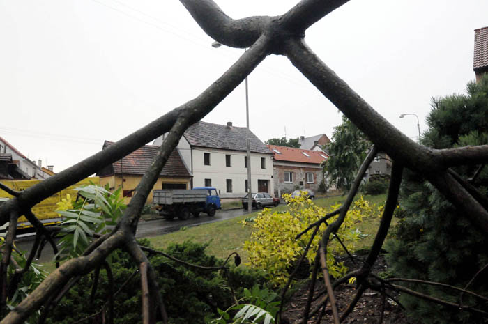 Prudký vítr s deštěm sráželvětve stromů v stromů na Plzeňsku.
