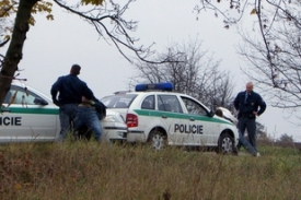 Policist&eacute; zat&yacute;kaj&iacute; v obci N&yacute;řany na Plzeňsku řidiče a spolujezdce.