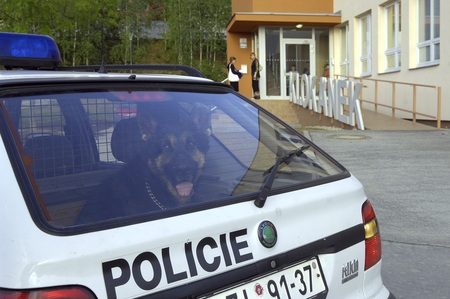 bez popisku 9859
