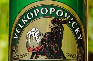 Český pivem roku se stal světlý ležák Velkopopovický kozel.