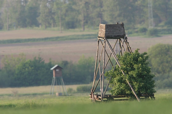 Posed - ilustrační foto