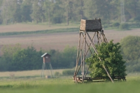 Posed - ilustrační foto
