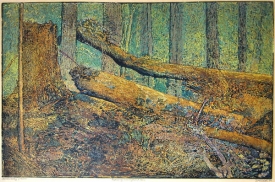 Boub&iacute;nsk&yacute; prales, barevn&yacute; dřevoryt. Z d&iacute;la Josefa V&aacute;chala.
