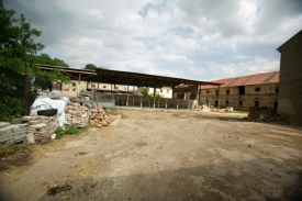 Majitel chovu má finanční problémy, ale úhyn prý způsobily nemoci.