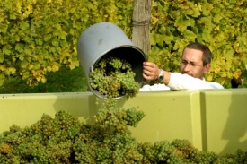 Stoupenci biodynamického zemědělství považují farmu za živý systém. Stoupenci biodynamického zemědělství považují farmu za živý systém.