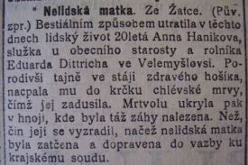 Nelidská matka, případ z února 1908.