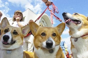 Ilustrační foto