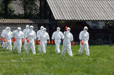Lék Tamiflu má zatím smysl jen pro ty, kdo přišli s drůbeží do styku. Lék Tamiflu má zatím smysl jen pro ty, kdo přišli s drůbeží do styku.