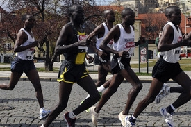 V centru Prahy se 29. března běžel jubilejní desátý ročník Pražského půlmaratonu. V centru Prahy se 29. března běžel jubilejní desátý ročník Pražského půlmaratonu.