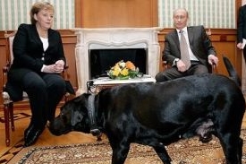 Putin a jeho labradorka Koni