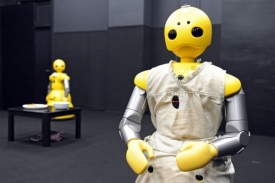 Ve hře si zahráli roboti Wakamaru od Mitsubishi.