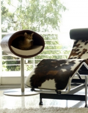 Rondo od Cat Interiors.