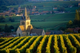 Domovina šampaňského, kraj Champagne.