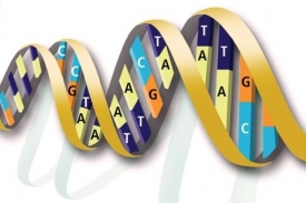 DNA umíme díky Sangerovi přečíst písmenko po písmenku.