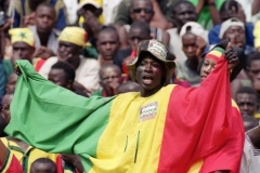 Fanou&scaron;ci senegalsk&eacute; fotbalov&eacute; reprezentace.