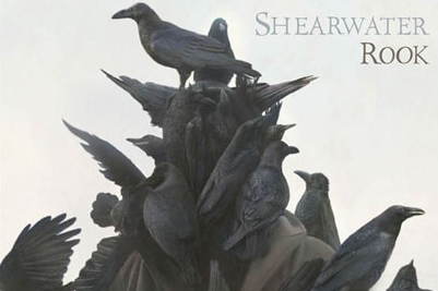 Shearwater: Rook
