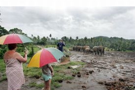 Sirotčinec je oblíbenou destinací turistů