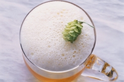 Pivo bez pasterizace není tak ostré, ani nemá takový říz.