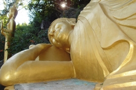 I české probudit se je od slova Buddha.