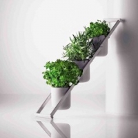 Bylinková inspirace od designérky Lovoriky Banovic.