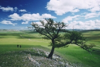 Čím to, že průvodce Lonely Planet otřásly světem?