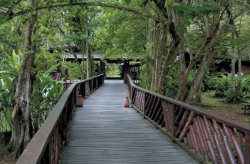 Borneo
