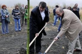 Jiří Šulc (ODS) při sázení památného dubu v budoucím lesoparku.