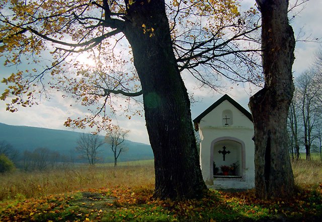 Šumava bude příští rok patřit milovníkům Klostermannových knížek. Šumava bude příští rok patřit milovníkům Klostermannových knížek.