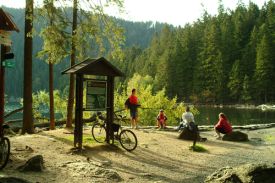 Šumava