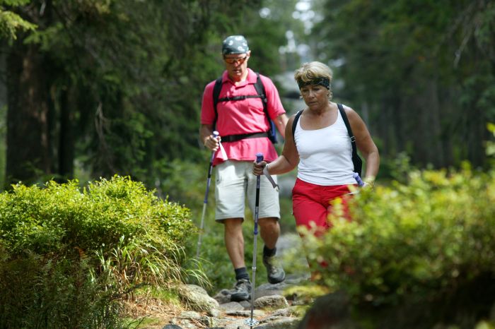 Některé zakázané oblasti Šumavy se možná zpřístupní turistům. Některé zakázané oblasti Šumavy se možná zpřístupní turistům.