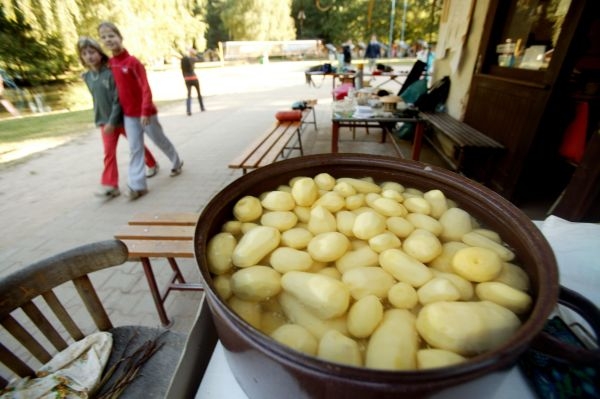 S bramborami kuchařkám inspektorky nepomohly.