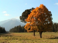 Slovenské Tatry vábí turisty na nové atrakce.