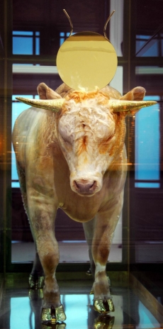 Zlaté tele Damiena Hirsta se prodalo za 70,2 milionu liber.