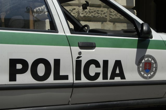 Slovenští policisté nezasahovali. Demonstrace radikálů byla povolená.