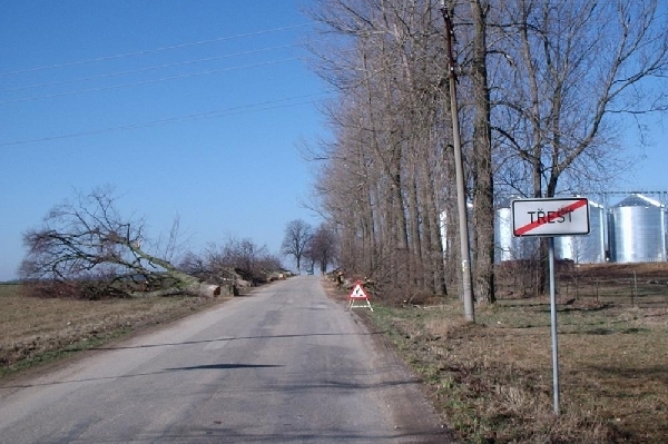 Podle správy silnic nepadne žádný strom u silnice zbytečně.