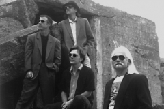 The Ford Blues Band