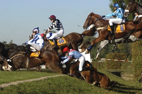Snímek z Velké pardubické Snímek z Velké pardubické