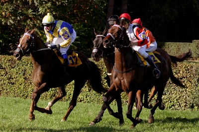 Velká pardubická