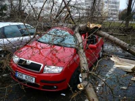 Emma pokácela stromy v Hradci Králové.