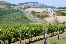 Jihomoravská vinařská oblast je přirovnávána k francouzské Provence. Jihomoravská vinařská oblast je přirovnávána k francouzské Provence.