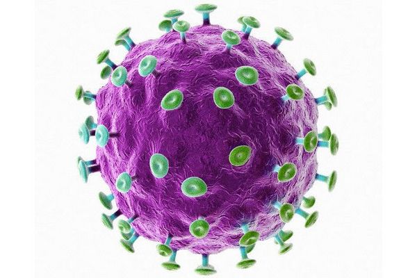 Přesáhne-li rychlost mutací únosnou míru, virus zkolabuje. Přesáhne-li rychlost mutací únosnou míru, virus zkolabuje.