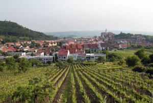 Zahrada, kde ženy pracovaly.