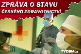 Zpráva o stavu českého zdravotnictví - logo.