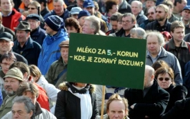 Demonstranti před ministerstvem zemědělství.