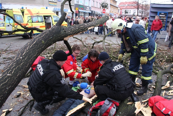 Nejhůře na tom po pádu stromu byly dvě dvanáctileté děti.